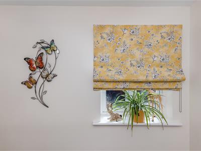 Picture 24